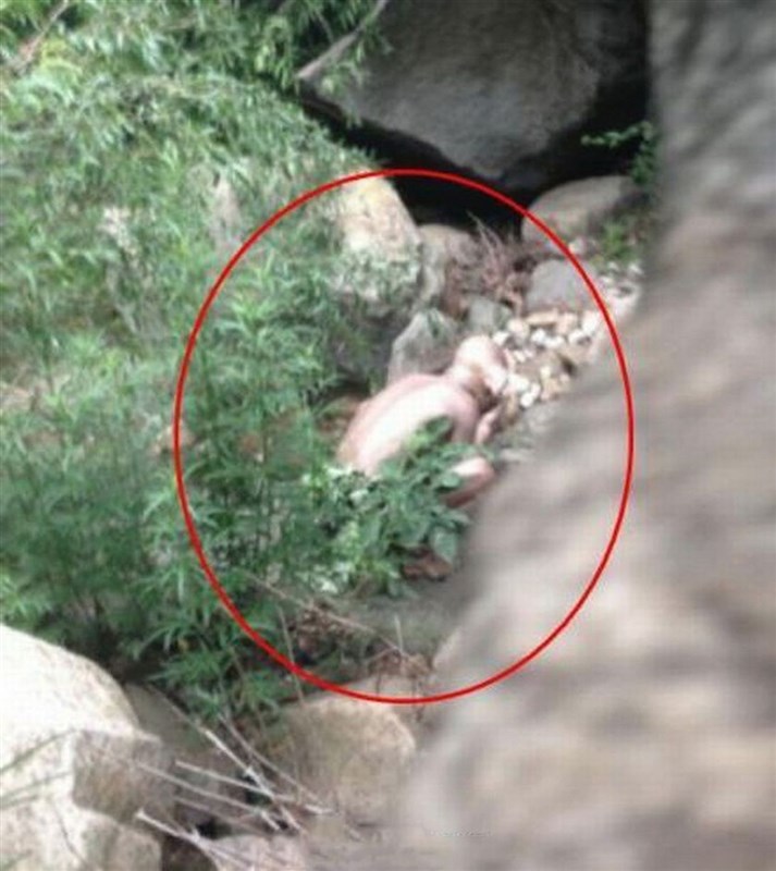 Mystery MONSTER spotted near Great Wall of China 